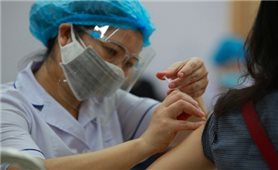Chính phủ ban hành cơ chế, chính sách đặc thù trong phòng, chống dịch COVID-19