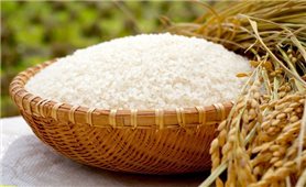 Festival lúa gạo Việt Nam lần thứ V tại Vĩnh Long 2021 từ ngày 7-10/1/2022