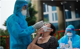 Ngày 8/1: Việt Nam có 16.553 ca mắc COVID-19 và 8.990 ca khỏi bệnh