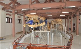 Phục dựng thành công 2 bộ xương cá voi hơn 300 tuổi