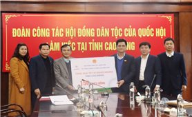 Hội đồng Dân tộc và Tổng công ty Điện lực miền Bắc tặng quà cho các hộ nghèo, gia đình chính sách tại Cao Bằng