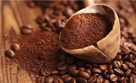 Giá cà phê hôm nay 23/1: Thị trường trong nước tăng 200 đồng/kg
