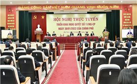 Hội nghị trực tuyến triển khai Nghị quyết số 11/NQ-CP của Chính phủ