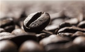 Giá cà phê hôm nay 21/2: Dao động từ 40.800 - 41.400 đ/kg