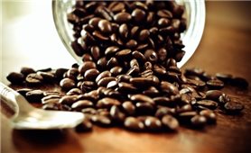 Giá cà phê hôm nay 22/2: Cà phê Robusta giảm mạnh