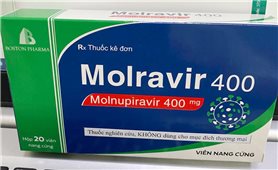 Bộ Y tế công bố giá bán thuốc Molnupiravir do Việt Nam sản xuất