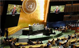 Đại hội đồng Liên hợp quốc kêu gọi giải pháp hòa bình cho Ukraine
