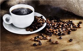 Giá cà phê hôm nay 27/2: Dao động khoảng 40.400 - 41.000 đồng/kg