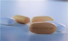 FO tăng cao, Hà Nội phân bổ khẩn hơn 400.000 viên thuốc Molnupiravir