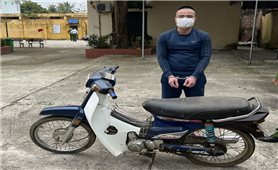 Cẩm Thủy (Thanh Hóa): Bắt đối tượng chuyên trộm cắp xe máy