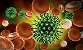 Người mắc COVID-19 khó có thể loại bỏ hoàn toàn virus khỏi cơ thể