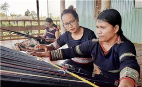 Gia Lai: Gần 1.500 hộ hội viên phụ nữ DTTS thoát nghèo