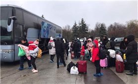 Gần 300 người Việt Nam sơ tán từ Ukraine lên đường về nước
