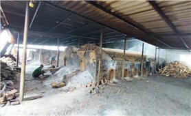 Gia Lai: Môi trường sống bị đe dọa từ những lò than trái phép hoạt động ồ ạt