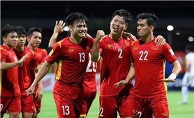 VFF hợp tác với Bundesliga để phát triển bóng đá Việt Nam