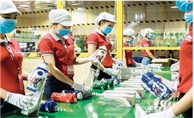 Kinh tế khởi sắc, GDP quý I tăng trưởng 5,03%