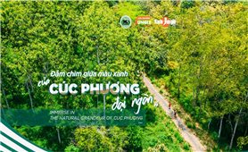 Vườn Quốc gia Cúc Phương tổ chức giải chạy “đắm chìm giữa màu xanh đại ngàn”