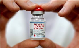 Bộ Y tế đồng ý tiêm vắc xin Moderna cho trẻ từ 6 - dưới 12 tuổi