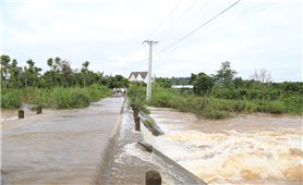 Đắk Lắk: Đề xuất hơn 25.000 tỷ sửa chữa, nâng cấp công trình thủy lợi
