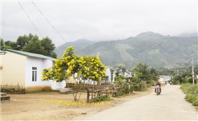Hiệu quả các chương trình phát triển KT-XH vùng đồng bào DTTS và miền núi ở Khánh Hòa: Tạo nền tảng cho phát triển bền vững (Bài 1)