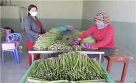 Ninh Thuận: Gần 730 tỷ đồng thực hiện chương trình giảm nghèo bền vững