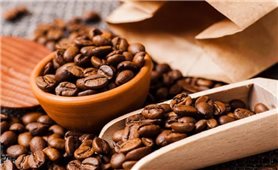 Giá cà phê hôm nay 2/4: Biến động trái chiều trên thị trường thế giới