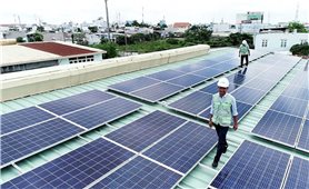 Xử phạt hai doanh nghiệp điện năng lượng mặt trời ở Long An