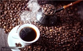 Giá cà phê hôm nay 4/4: Dao động khoảng 40.900 - 41.500 đồng/kg