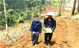 Khởi tố, bắt tạm giam kẻ chủ mưu vụ phá 1,9 ha rừng ở Lâm Đồng