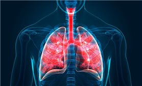 Phát hiện vi nhựa trong phổi người sống
