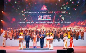 Tài Anh lọt Top 100 Sao Vàng Đất Việt 2021
