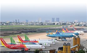 Hàng không Việt đang có dấu hiệu tăng trưởng