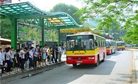 Thành phố Hà Nội sẽ mở mới khoảng 100 tuyến xe buýt giai đoạn 2020 - 2025