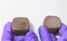 Ấn Độ chế tạo mẫu gạch từ vi khuẩn để xây nhà trên sao Hỏa