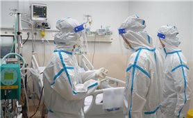 Ngày 26/4: Việt Nam có 8.431 ca mắc COVID-19 và 23.465 ca khỏi bệnh