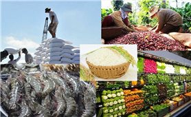 4 tháng đầu năm: Xuất khẩu nông sản tăng 15,6%