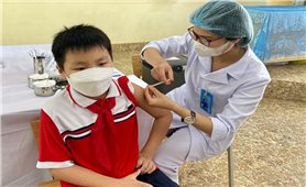 Bộ Y tế yêu cầu đẩy nhanh tiến độ tiêm vaccine cho trẻ 5-12 tuổi và mũi 3 cho người trên 18 tuổi