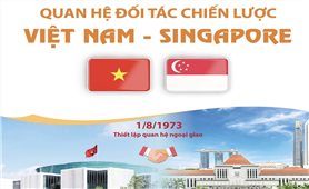 Quan hệ Đối tác chiến lược Việt Nam - Singapore