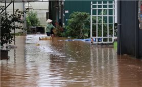 Nhiều địa phương bị thiệt hại do mưa lớn kéo dài