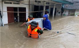 Vĩnh Phúc: Mưa lớn gây ngập úng tại nhiều địa bàn, 49 hộ dân ở Tam Đảo bị chia cắt