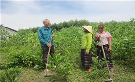 Quảng Bình: Nỗ lực giảm nghèo ở vùng đồng bào DTTS, miền núi
