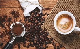 Giá cà phê hôm nay 1/6: Tiếp tục tăng trên thị trường trong nước và thế giới