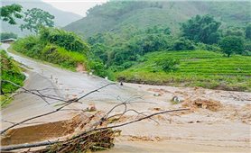 Thanh Hóa sơ tán dân khẩn cấp vì mưa lớn gây sạt lở đất