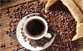 Giá cà phê hôm nay 10/6: Giá cà phê Arabica tăng nhẹ