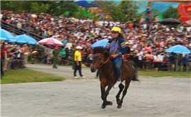Bắc Hà chào đón hơn 60.000 khách du lịch nhân dịp tổ chức Giải đua ngựa truyền thống