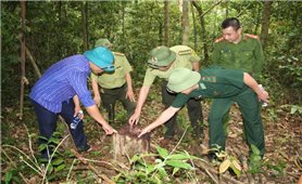 Đi tìm nguyên nhân phá rừng ở Quan Sơn