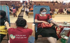 Gia Lai: Tôn vinh tập thể, cá nhân, gia đình hiến máu tình nguyện năm 2022