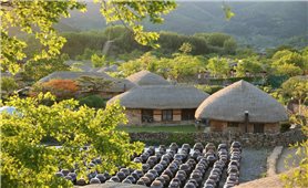 Ngôi làng “cây nấm” phía nam Hàn Quốc