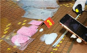 Quảng Trị: Đối tượng tàng trữ 1,5 kg ma túy sa lưới