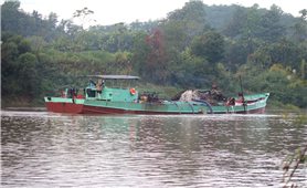 Lâm Đồng: Kiên quyết xử lý tình trạng khai thác cát trái phép trên sông Đồng Nai